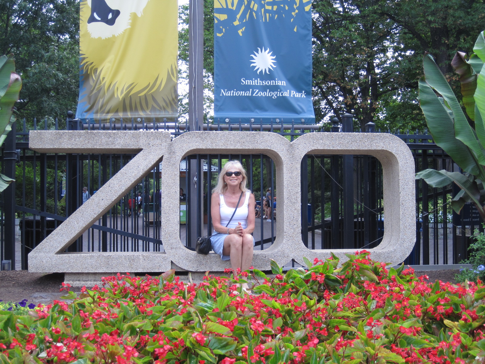Kris's 2011 A Photo A Day At the Zoo in Washington DC July 28,. 2011