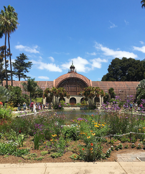 DIY in the Forest GUIDE TO SAN DIEGO NORTH PARK